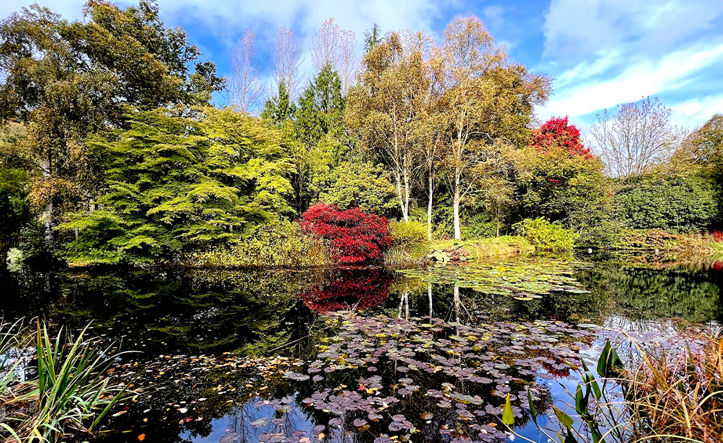 3 Best Gardens in Devon