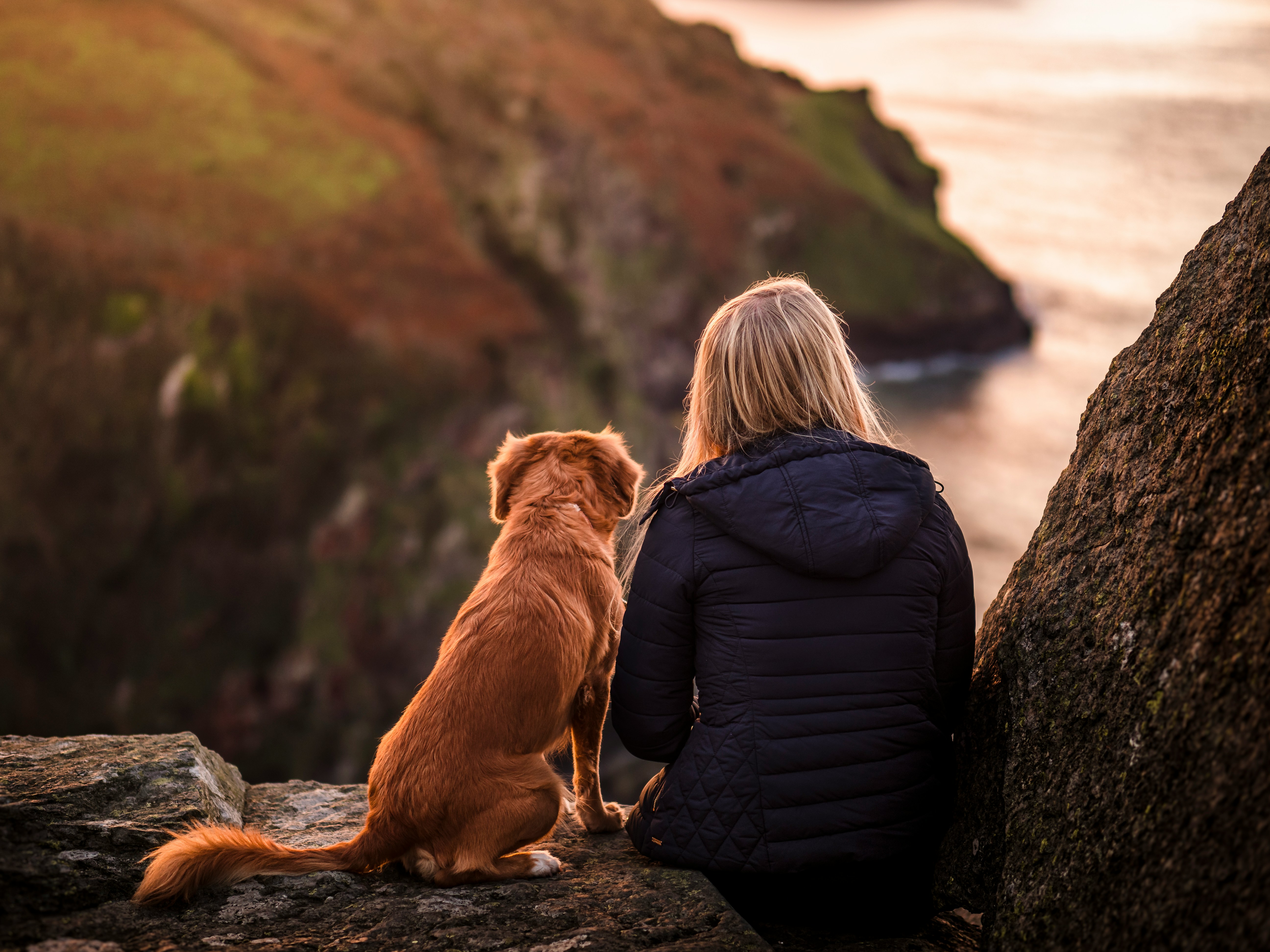 Coast to Countryside: Devon Walks for You and Your Dog