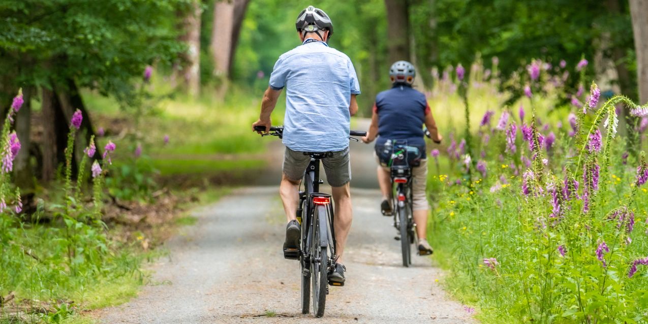 Cycling in Devon