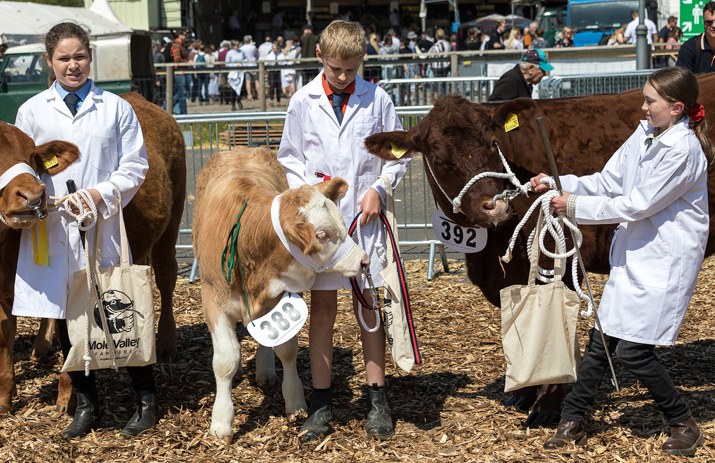 Devon County Show