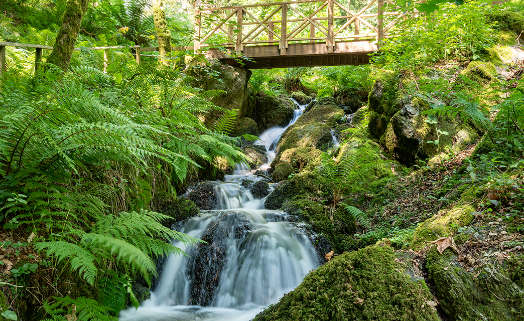 Waterfalls in Devon