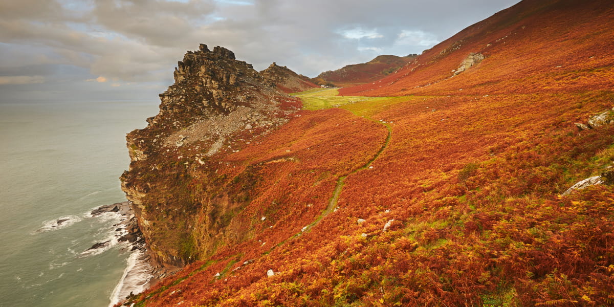 Why Visiting Devon in Autumn is Magical | A Seasonal Guide