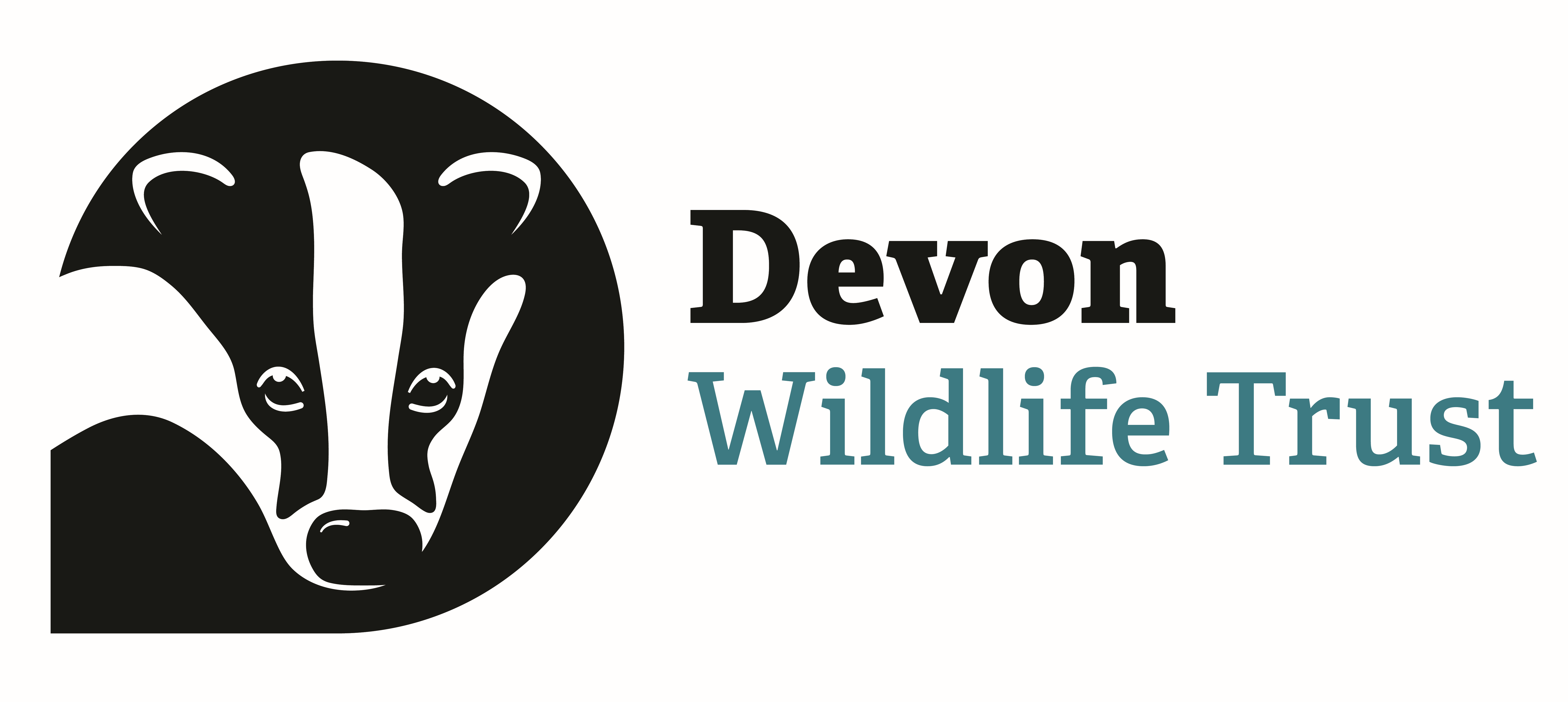 Dorset wildlife trust